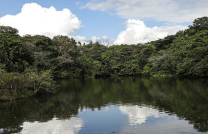 Santiago de Cali conmemora el mes de los humedales
