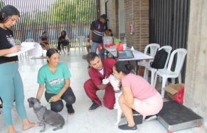 Jornada de esterilización en la comuna 20 de Cali