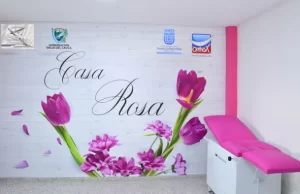 Si se siente en riesgo de ser víctima de feminicidio esta es la ruta a seguir