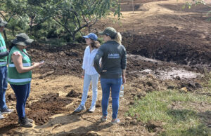 Dagma frena impacto ambiental de constructora en el Sur de Cali