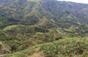 Trágico hallazgo en la vereda San Isidro de Piendamó