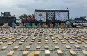 Golpe al narcotráfico en el Cauca