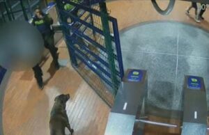 Trágico asesinato en el portal usme: Presunto homicida tras las rejas