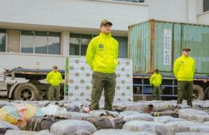 Incautan 5.6 toneladas de marihuana en Cali: Golpe al Narcotráfico