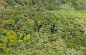 Acciones que conectan con la COP16