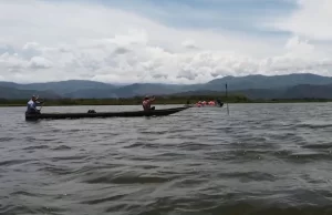 Piden no consumir peces muertos de la laguna de Sonso