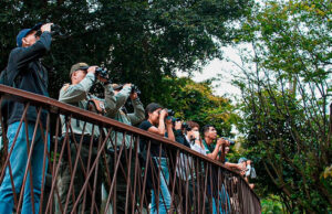 Aficionados a las aves disfrutaron durante el ‘Global Big Day’