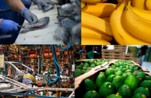 En 2,5 % crecieron exportaciones no minero energéticas de Colombia