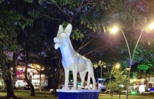 Siete lugares emblemáticos de Cali se iluminaron
