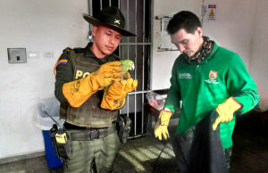 Cali Intensifica Operativos contra el Tráfico de Fauna Silvestre en Preparación para la COP 16