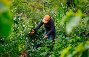 Gobierno firma decreto clave