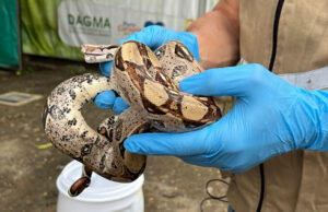 Rechazo al tráfico de fauna silvestre