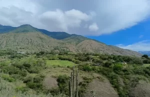 Las apuestas por un ‘Valle Verde’