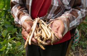 Gobierno Nacional impulsa proyectos en La Guajira