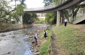 Con acciones positivas