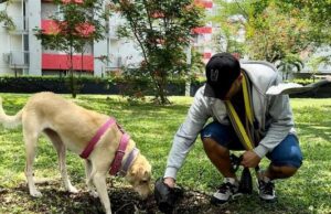 La tenencia responsable de mascotas es un compromiso que se adquiere