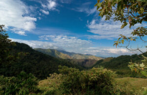 Abren Concurso de Cuento Corto Ambiental para promover la biodiversidad