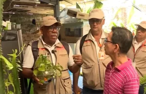 Gobernación del Valle combate el dengue
