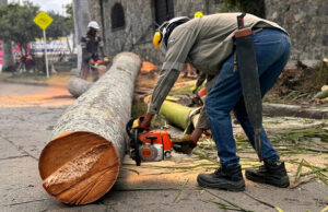 Una acción rápida del Dagma en el río Meléndez, evitó afectaciones a la comunidad