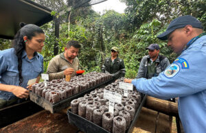 Personal del Dagma y Parques Nacionales se capacita