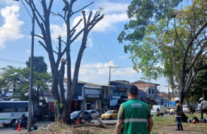 Avanzan las intervenciones de recuperación ambiental