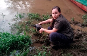 Animales recuperados en Cali retornaron a sus hábitats en el Caquetá