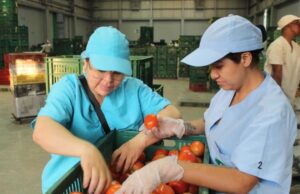 Comedores comunitarios reciben insumos de calidad