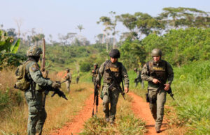 Destruyen cinco puentes y cinco vías ilegales en el Parque Nacional Natural Chiribiquete
