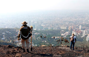 Incendio de los cerros causó desplazamiento de fauna silvestre