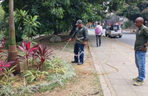 Avanza en Cali el plan de recuperación ambiental previo a la COP16