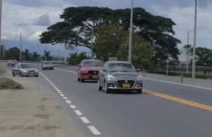 Gobernadora del Valle solicitó a la ANI evitar arboricidio