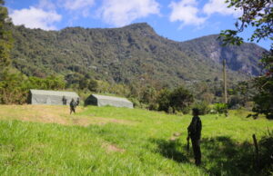 Cali blinda el Parque Natural los Farallones