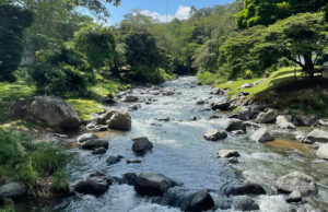 Se extiende el verano