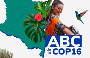 Gobierno nacional estima que la COP16 le genere al país ingresos extraordinarios