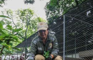 Avanzan en Cali los trabajos de ajardinamiento y renaturalización