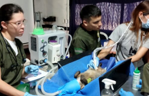 Dagma fortalece alianzas estratégicas