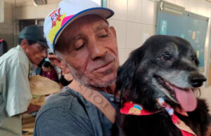 Protección Animal de Cali anuncia jornadas de esterilización del 3 al 7 de septiembre