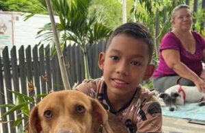 Protección Animal invita a participar en las jornadas de esterilización gratuita