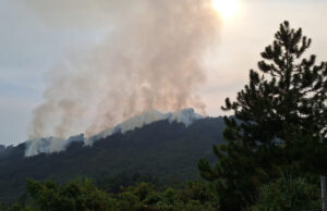 Dagma, hace llamado urgente a los caleños