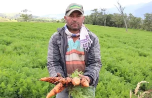 129 unidades productivas rurales se beneficiarán
