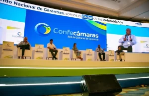 Las estrategia de los Infis para promover el desarrollo en la región