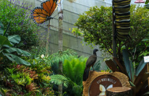 Ganadores de la Incubadora de Proyectos Turísticos