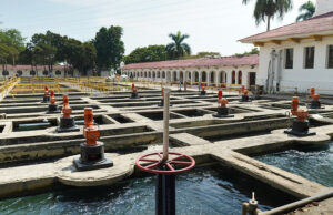 EMCALI genera desinfectante ‘in situ’