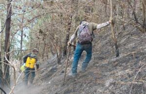 Dagma inició labores para recuperar áreas afectadas