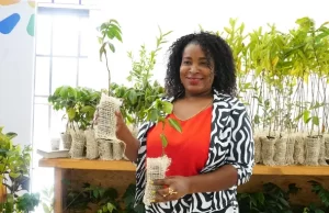 A Buenaventura llega el milagro de los créditos cero interés