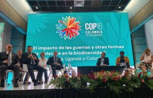 Durante la COP16 piden detener las guerras y hacer la paz con la naturaleza