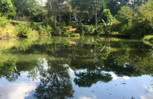 Agencia Nacional de Tierras expide resoluciones de deslinde