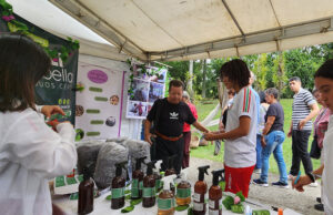 El INEM tiene la planta de compostaje más grande de Cali