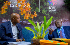 Colombia fortalece alianzas internacionales en la COP16