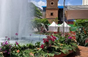 Gobernación del Valle embelleció la Plaza de San Francisco para la COP16